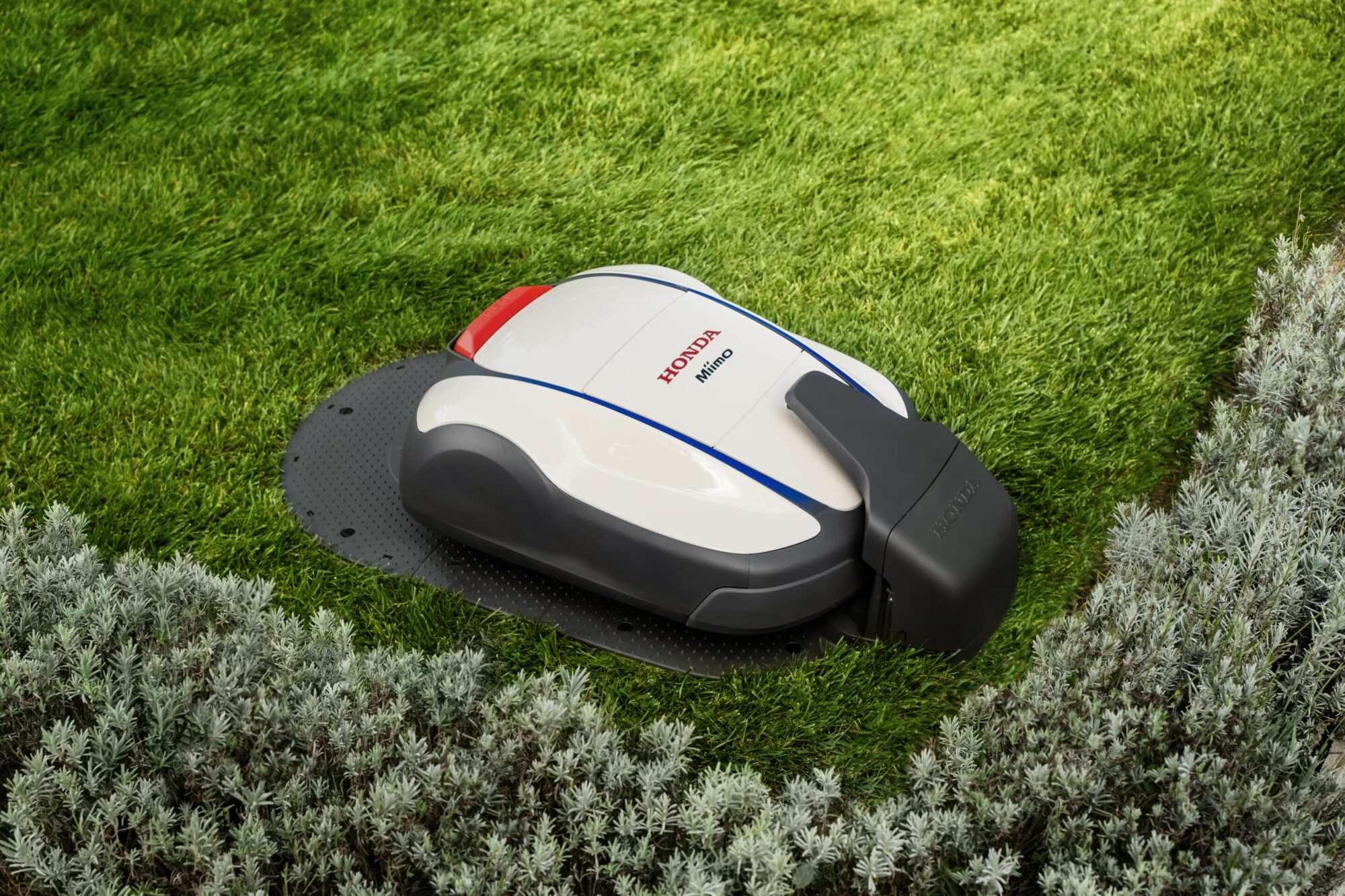 Robot de tonte - MIIMO HRM 2500EC LIVE HONDA